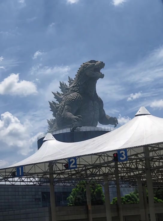 预览图片